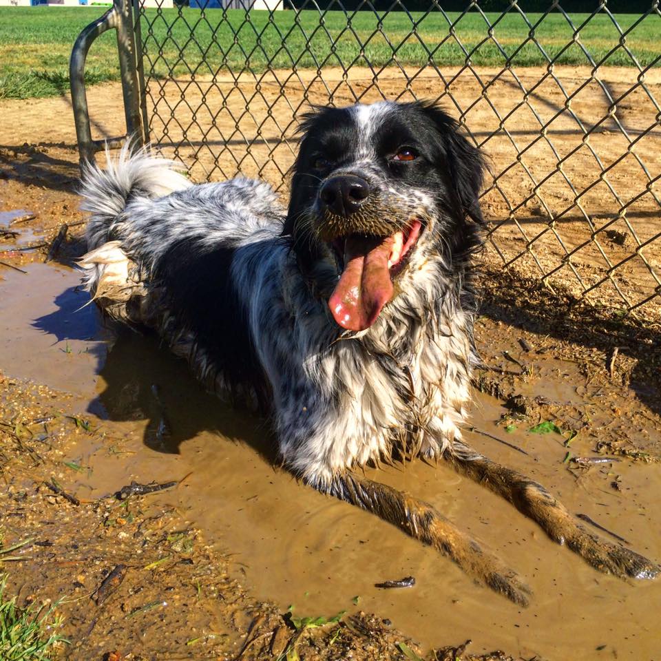 work-photo%25203%2520mud.jpg