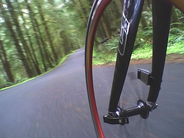 work-ecola%2520wheel%2520shot.jpg