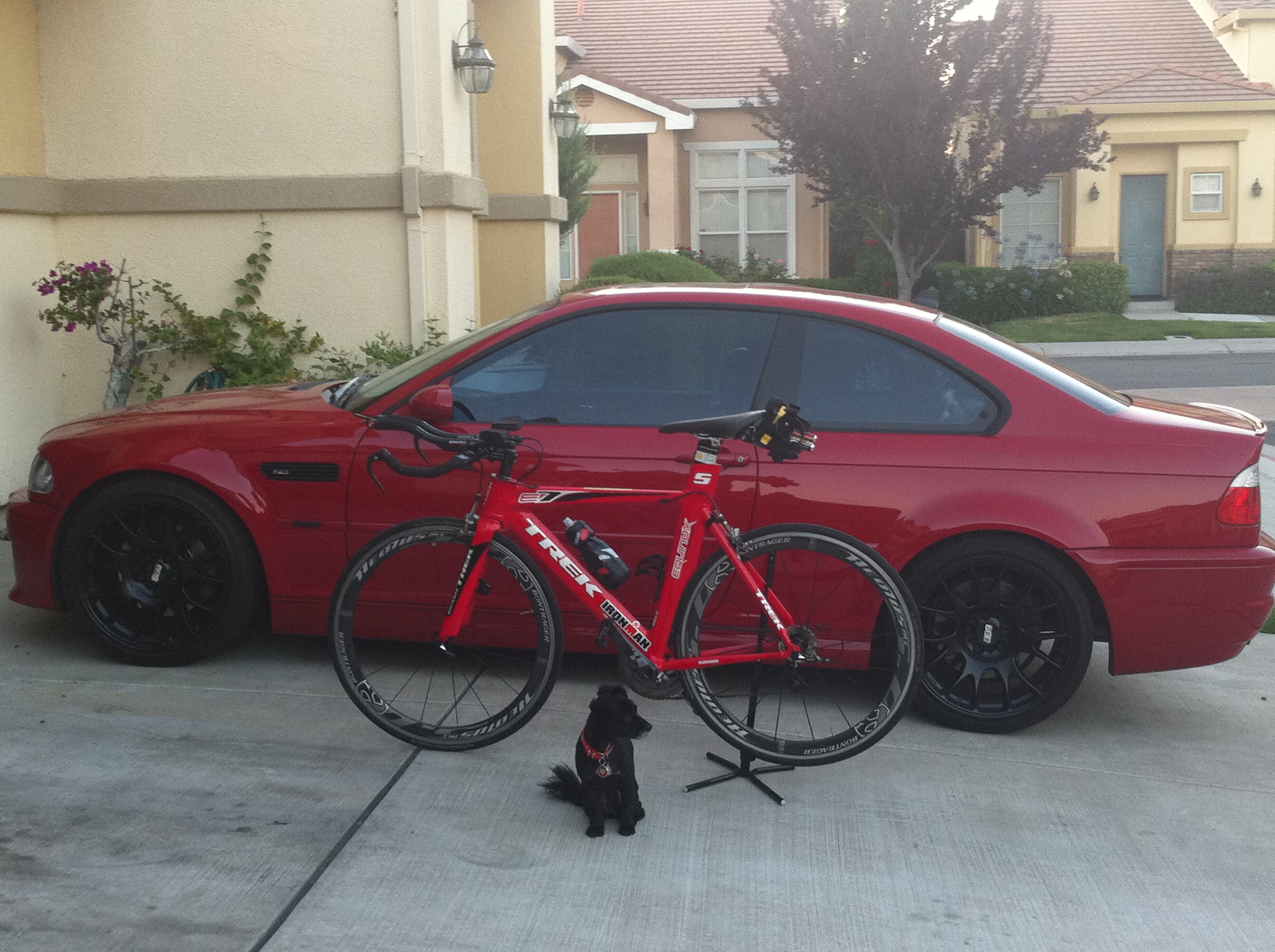 work-Trek%2520%2526%2520M3%2520ii.jpg