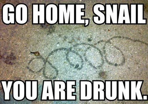 work-snail.jpg