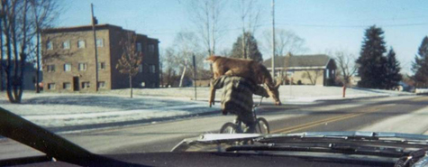 work-redneck_dui.jpg