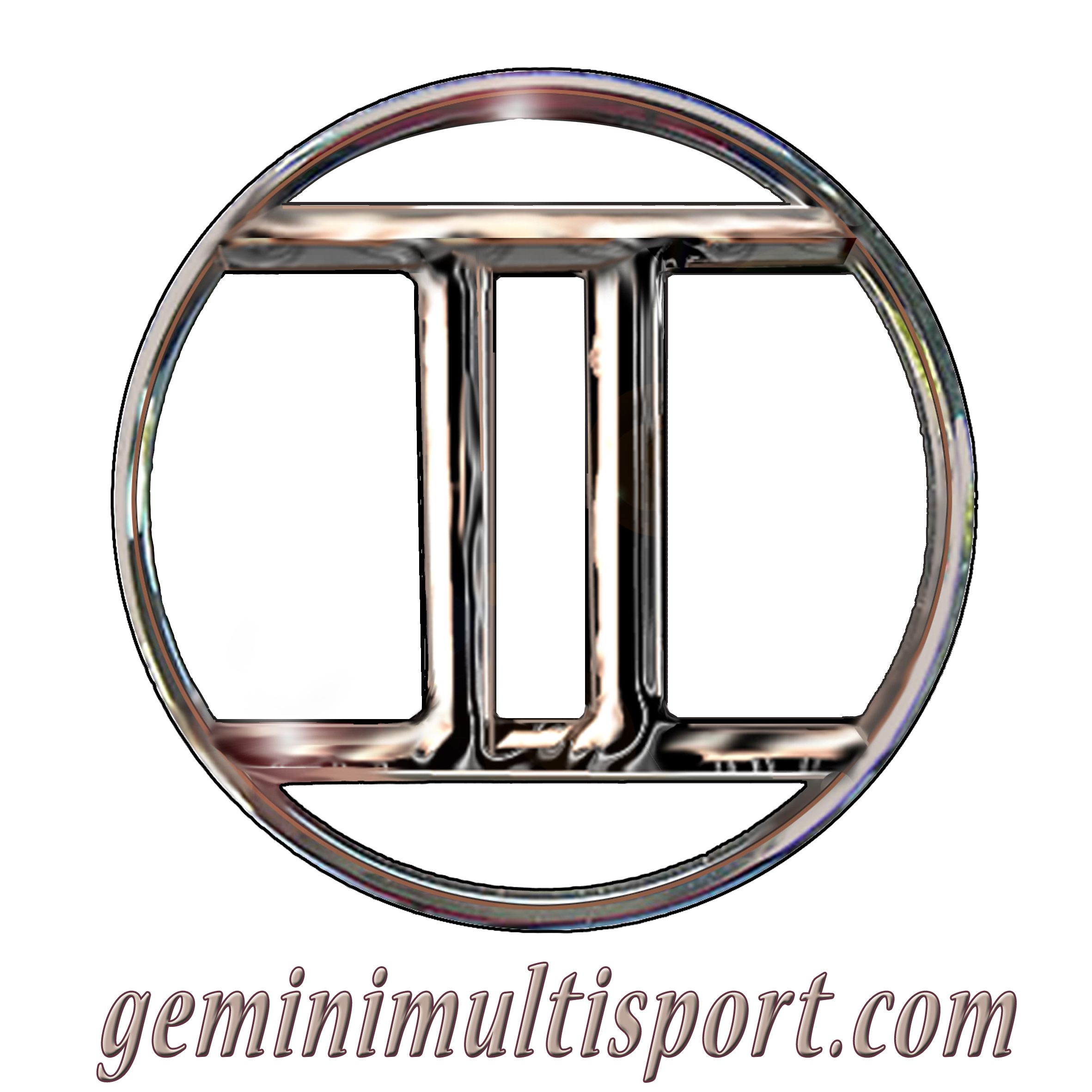 work-geminisport_white.jpg