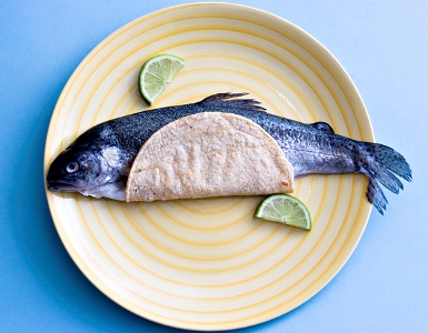 work-fish%2520taco.jpg