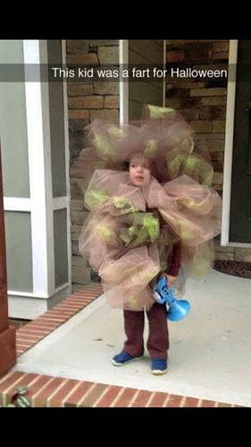 deb9b771f9fcc1dc048ab1d7927ce546