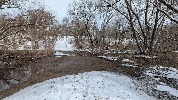 PXL_20250112_165246499