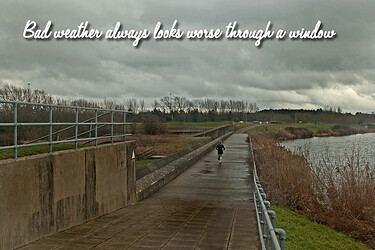 23027684690_51b5eace72_o