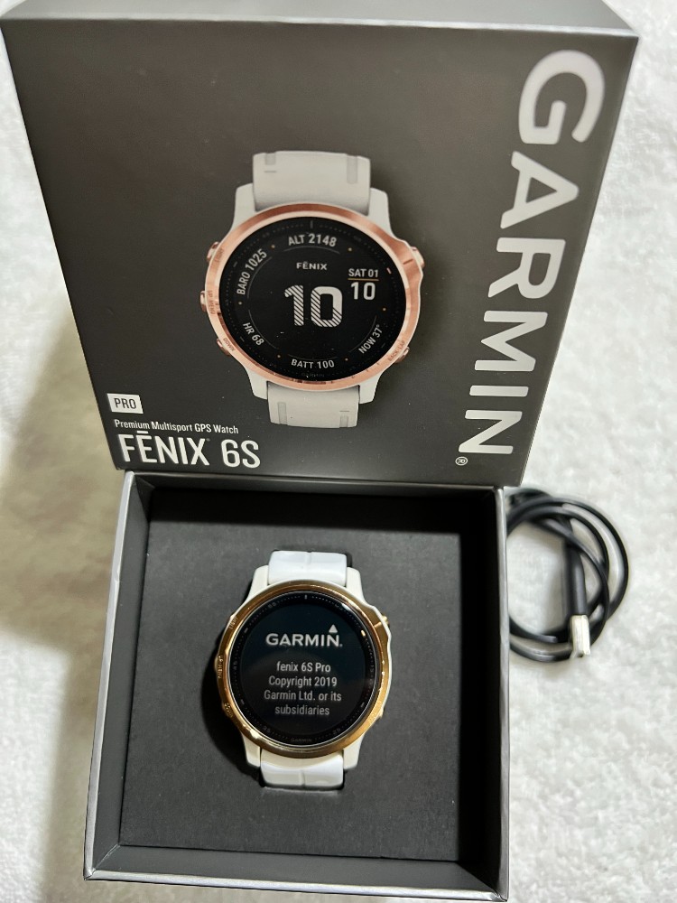 Fenix 6s-2.JPG