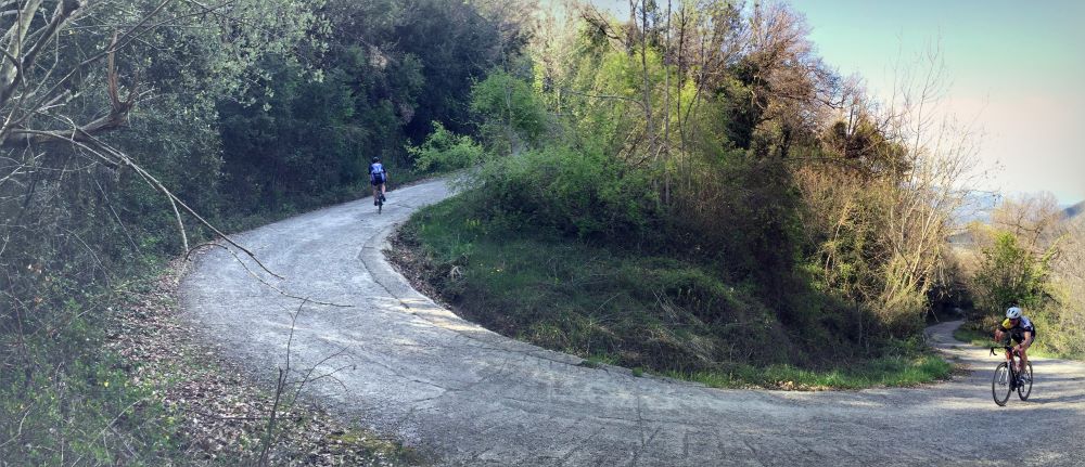 Olot 1 sm.jpg
