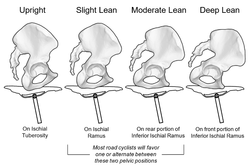 pelvic-lean-cycling-saddle.png