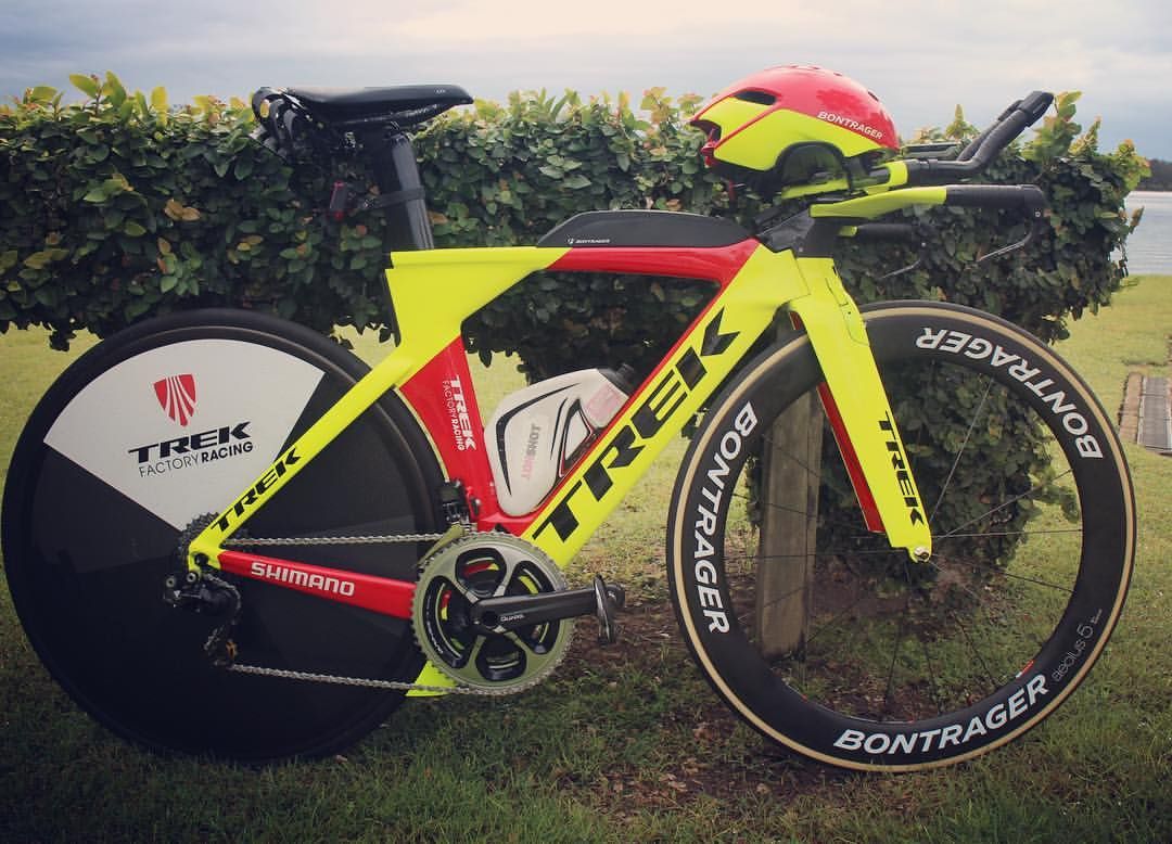 treedbike.jpg