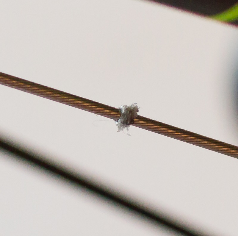 SRAM-Gore Cable Coating - Small.jpg
