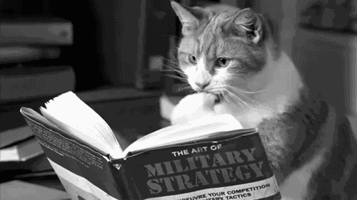 giphy (6)