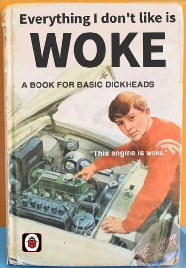 WokeBook.jpg