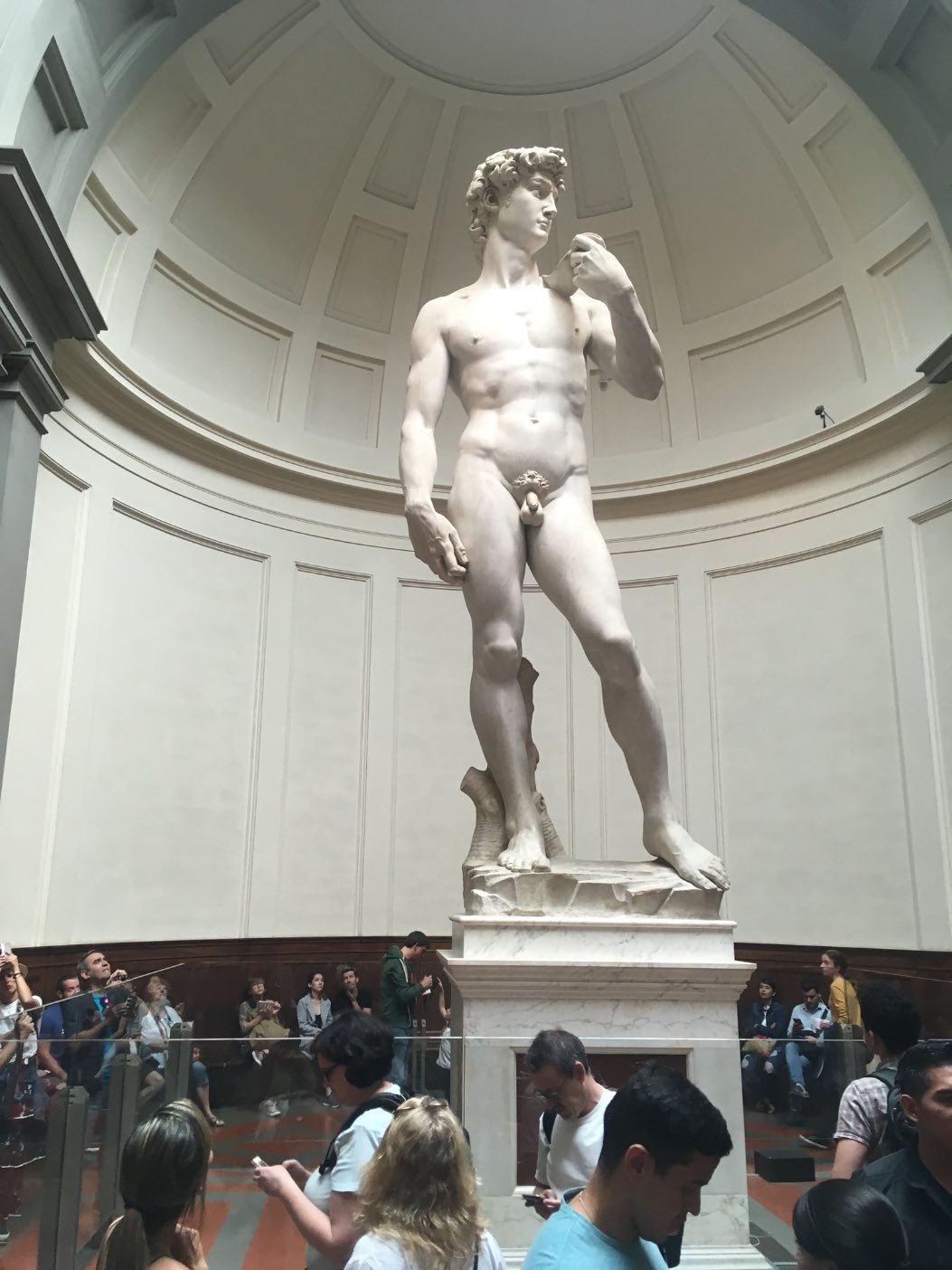 D0C1B1D8-6F04-4561-9F76-8A3C1BE71D91.jpeg