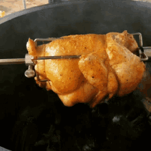 rotisserie-chicken-chicken