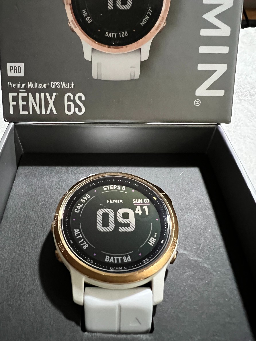 Fenix6s-1.JPG