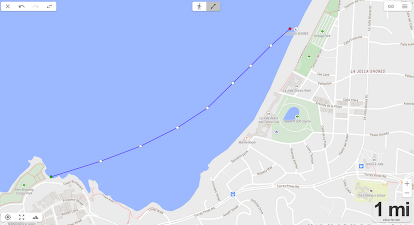 cove swim1.png