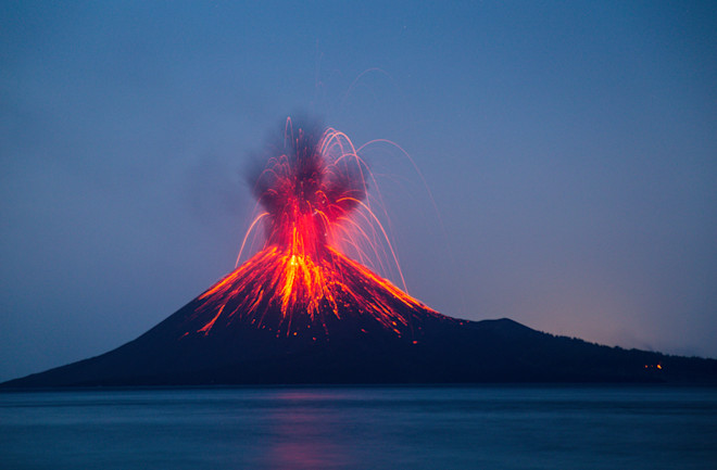 shutterstock_1272261553