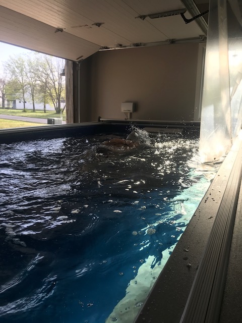 Pool open.JPG