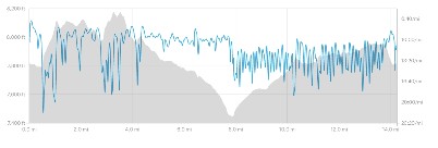 pacing.jpg