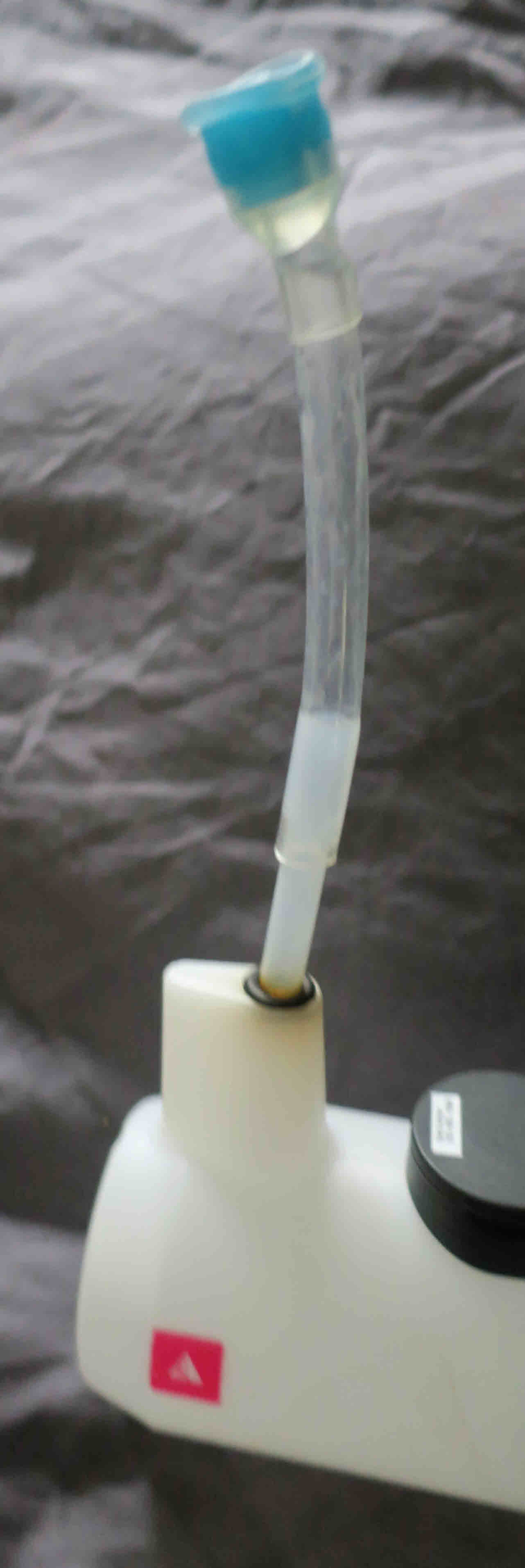 Copy of Profile HC Straw 1.JPG