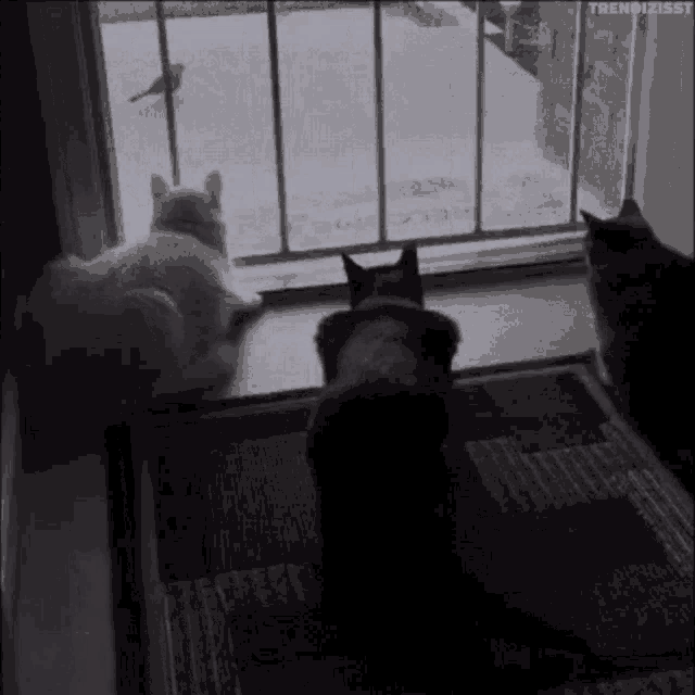 boo-scared