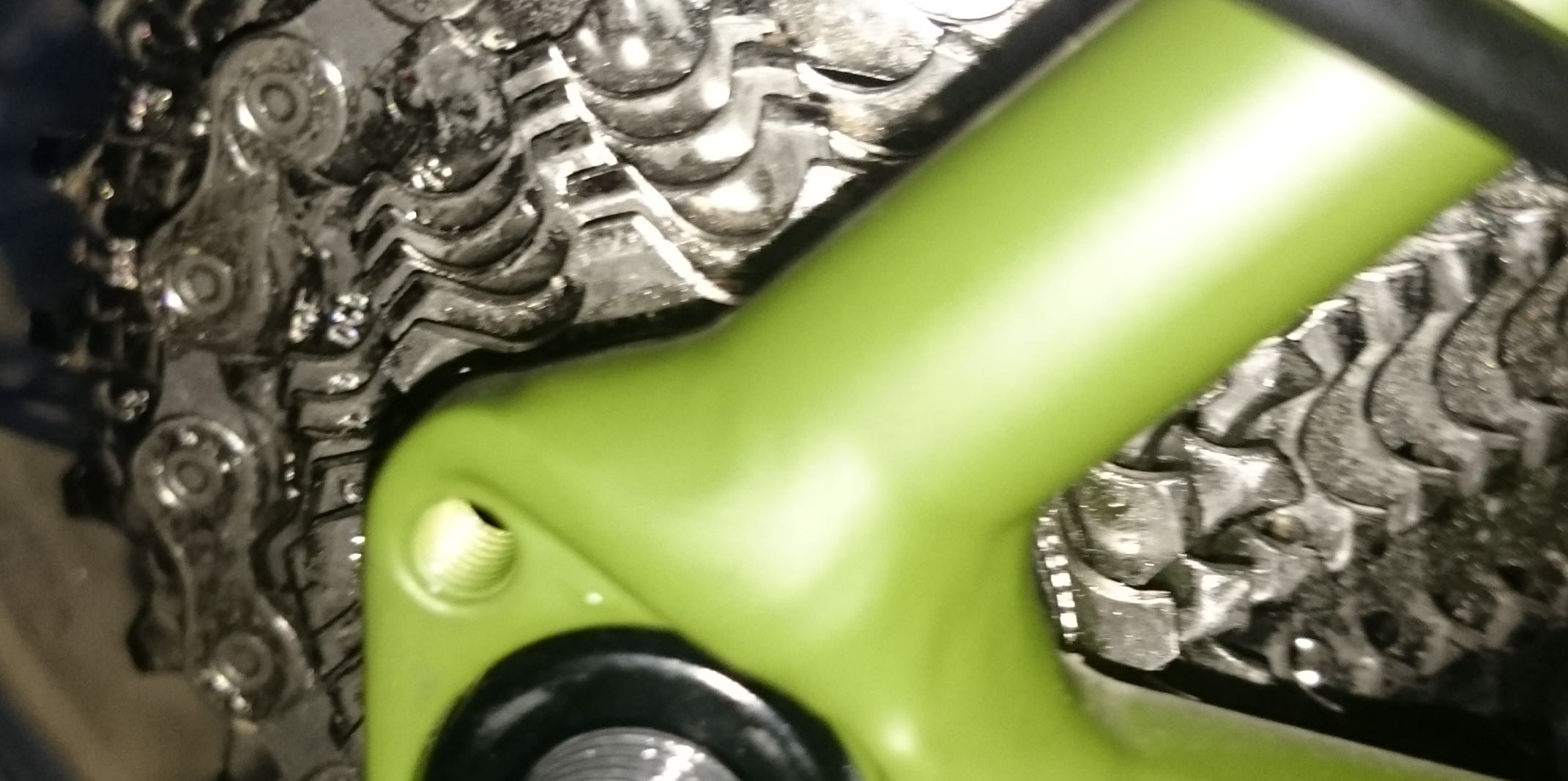cropped.jpg