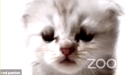 tumblr_46c00eb7560da4d23f1875725e0f730a_bc5e804a_500