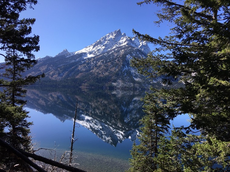 Jenny Lake Photo.jpg