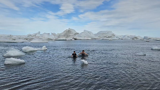 polar_dip1.JPG