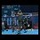 craig_taylor